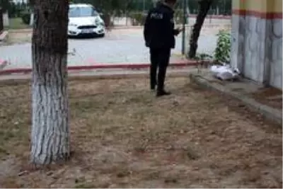 Yaşlı adam ağaçtan düşüp yaralandı Yaşlı adam ağaçtan düşüp yaralandı