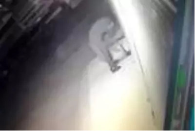 Bir haftada 18 iş yerinden hırsızlık yaptılar, eğlenirken yakalandılar Bir haftada 18 iş yerinden hırsızlık yaptılar, eğlenirken yakalandılar