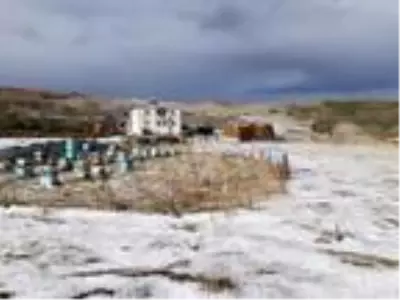 Ardahan'a kar gibi dolu yağdı Ardahan'a kar gibi dolu yağdı