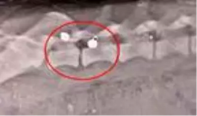 SOKAK KÖPEĞİNİ HEDEF TAHTASI YAPTILAR