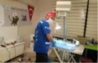 Bacağı iki yerden kırık sokak kedisine tedavi Bacağı iki yerden kırık sokak kedisine tedavi