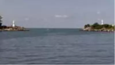 Batı Karadeniz'de palamut bolluğu Batı Karadeniz'de palamut bolluğu