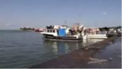 Batı Karadeniz'de palamut bolluğu Batı Karadeniz'de palamut bolluğu