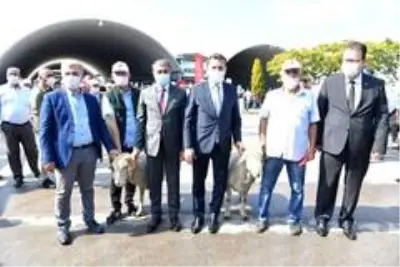 Büyükşehir Belediyesinden küçük ölçekli üreticiye destek