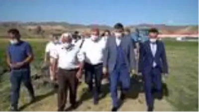 'Çeltik hasat bayramı' düzenlendi 'Çeltik hasat bayramı' düzenlendi