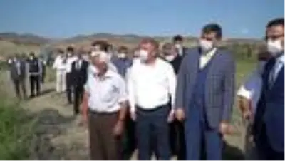 'Çeltik hasat bayramı' düzenlendi 'Çeltik hasat bayramı' düzenlendi