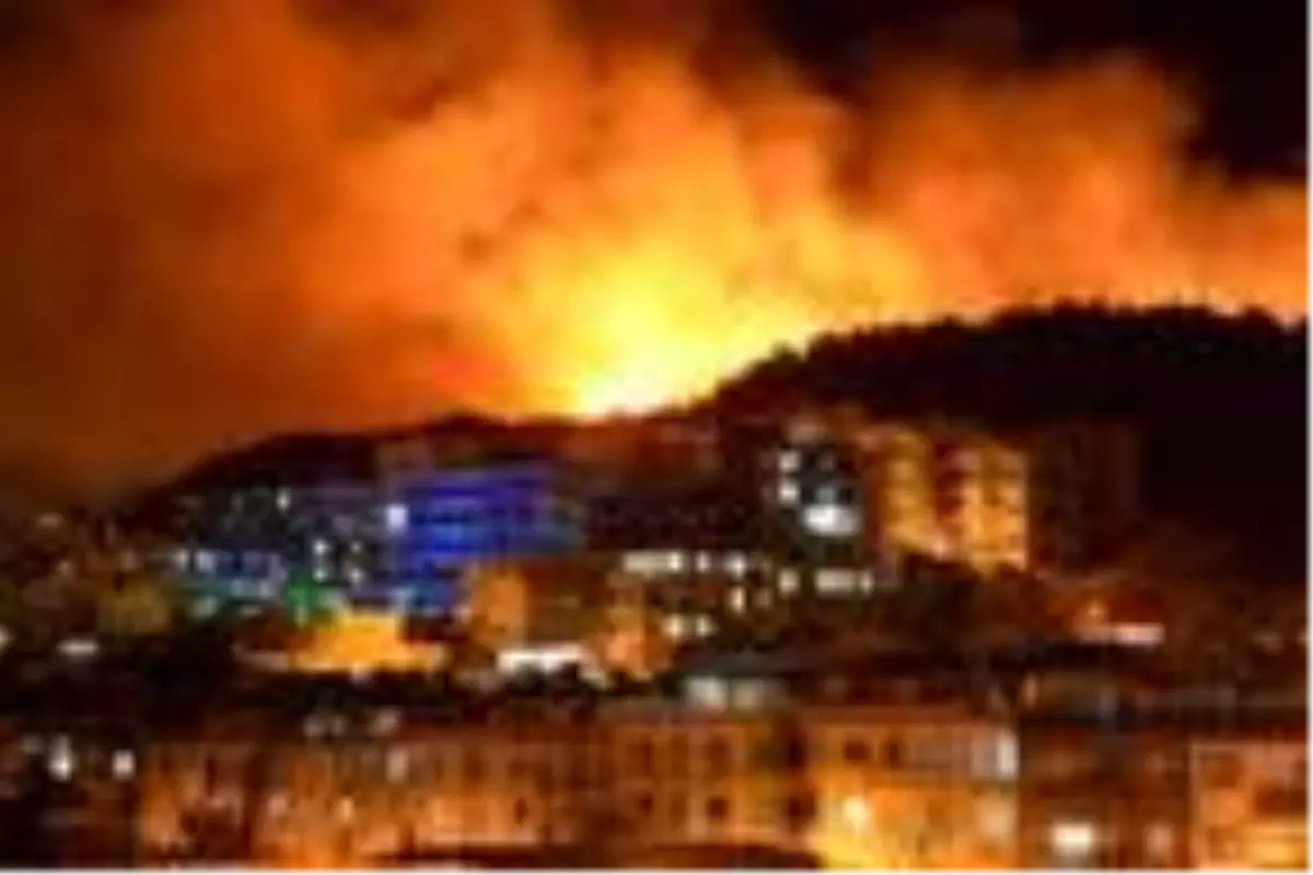 Dikili'de korkutan yangın