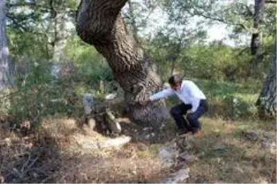 Son dakika haberleri! Hırsız ve definecilerden bıktı, köyü güvenlik kameralarıyla donattı Son dakika haberleri! Hırsız ve definecilerden bıktı, köyü güvenlik kameralarıyla donattı