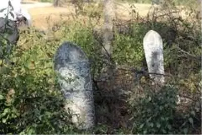 Son dakika haberleri! Hırsız ve definecilerden bıktı, köyü güvenlik kameralarıyla donattı Son dakika haberleri! Hırsız ve definecilerden bıktı, köyü güvenlik kameralarıyla donattı