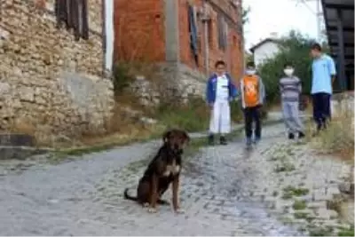 Son dakika haberleri! Hırsız ve definecilerden bıktı, köyü güvenlik kameralarıyla donattı Son dakika haberleri! Hırsız ve definecilerden bıktı, köyü güvenlik kameralarıyla donattı