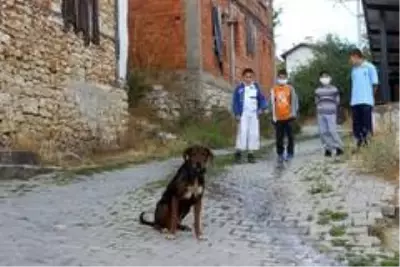 Son dakika haberleri! Hırsız ve definecilerden bıktı, köyü güvenlik kameralarıyla donattı Son dakika haberleri! Hırsız ve definecilerden bıktı, köyü güvenlik kameralarıyla donattı