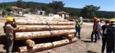 İşletme ve Pazarlama konusunda iç denetimler İşletme ve Pazarlama konusunda iç denetimler