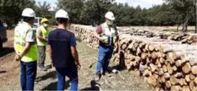 İşletme ve Pazarlama konusunda iç denetimler İşletme ve Pazarlama konusunda iç denetimler