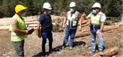 İşletme ve Pazarlama konusunda iç denetimler İşletme ve Pazarlama konusunda iç denetimler