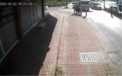 Kazazede, kendisine yardım eden kadının koluna sarılarak 'Sen kimsin?' diye sordu Kazazede, kendisine yardım eden kadının koluna sarılarak 'Sen kimsin?' diye sordu