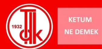 Ketum nedir? Ketum olmak ne demektir? Ketum ne anlama gelir? Ketum'un TDK'ya göre anlamı nedir?
