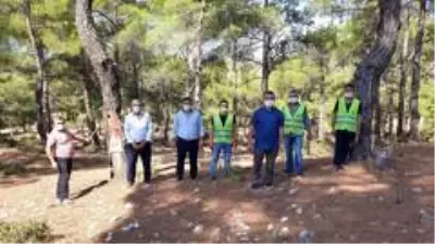 Kilosu 700 TL'ye satılan reçine, köyden kente göçün önüne geçti Kilosu 700 TL'ye satılan reçine, köyden kente göçün önüne geçti