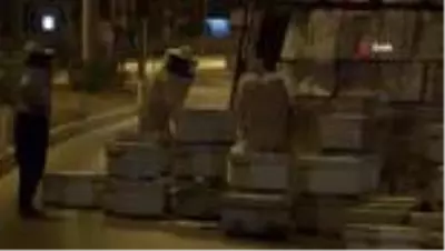 Kovan taşıyan kamyonet devrildi... Arılar yüzünden kimse araca yanaşamadı Kovan taşıyan kamyonet devrildi... Arılar yüzünden kimse araca yanaşamadı