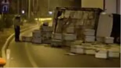 Mersin'de arı kovanı taşıyan kamyon kaza yapınca arılar etrafa saçıldı Mersin'de arı kovanı taşıyan kamyon kaza yapınca arılar etrafa saçıldı