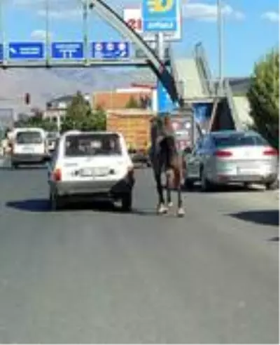 Otomobile bağladıkları atı kilometrelerce koşturdular Otomobile bağladıkları atı kilometrelerce koşturdular