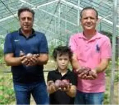 Alanya'da passiflora bahçesi kuran gurbetçi, 15 dekardan yılda 1,5 milyon lira kazanacak Alanya'da passiflora bahçesi kuran gurbetçi, 15 dekardan yılda 1,5 milyon lira kazanacak