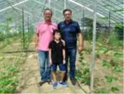 Alanya'da passiflora bahçesi kuran gurbetçi, 15 dekardan yılda 1,5 milyon lira kazanacak Alanya'da passiflora bahçesi kuran gurbetçi, 15 dekardan yılda 1,5 milyon lira kazanacak