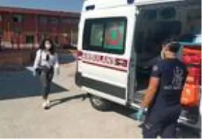 Tavşanını hastaneye götüren hemşirenin temaslı olduğu ortaya çıktı Tavşanını hastaneye götüren hemşirenin temaslı olduğu ortaya çıktı