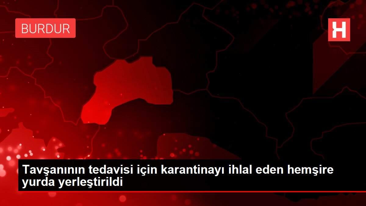 Tavşanının tedavisi için karantinayı ihlal eden hemşire yurda yerleştirildi Tavşanının tedavisi için karantinayı ihlal eden hemşire yurda yerleştirildi
