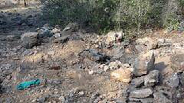 Ormanlık alanda cansız bedenine ulaşılan Duygu Çelikten, toprağa verildi