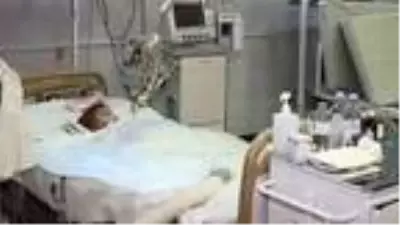 İki köpeğin saldırısına uğrayan 2 yaşındaki bebeğin cinsel organı parçalandı İki köpeğin saldırısına uğrayan 2 yaşındaki bebeğin cinsel organı parçalandı