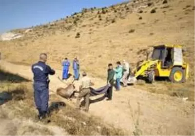 Yaralanan geyiği kurtarmak için seferber oldular Yaralanan geyiği kurtarmak için seferber oldular