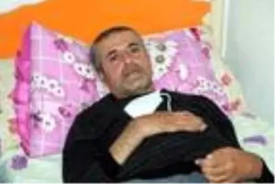 Hakkari'de yılan korkusuyla terk ettikleri evlerine geri dönen aile, diken üstünde yaşıyor Hakkari'de yılan korkusuyla terk ettikleri evlerine geri dönen aile, diken üstünde yaşıyor