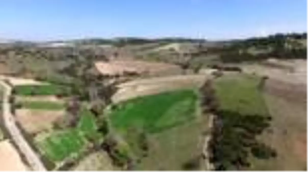 1800 yıllık yazıtın Türkiye'ye getirilmesi ısrarlı çabanın ürünü