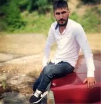 Ağacın altında kalan orman işçisi yaşamını yitirdi Ağacın altında kalan orman işçisi yaşamını yitirdi