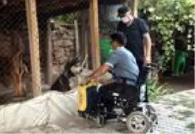 Akülü aracıyla, sokak sokak dolaşıp hayvanları besliyor Akülü aracıyla, sokak sokak dolaşıp hayvanları besliyor