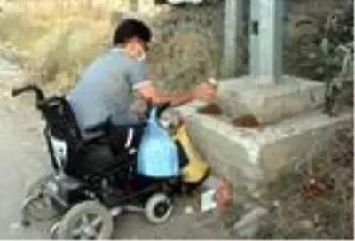 Akülü aracıyla, sokak sokak dolaşıp hayvanları besliyor Akülü aracıyla, sokak sokak dolaşıp hayvanları besliyor