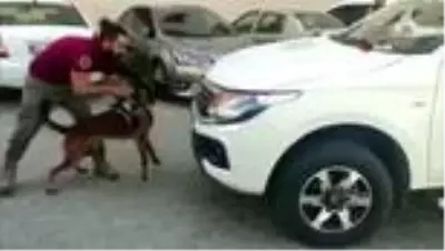 Aracın altına gizlenen 28 kg uyuşturucuyu narkotik köpeği buldu Aracın altına gizlenen 28 kg uyuşturucuyu narkotik köpeği buldu