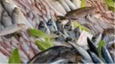 DHA YURT ÖZEL GÜNDEM - TEKRAR DHA YURT ÖZEL GÜNDEM - TEKRAR