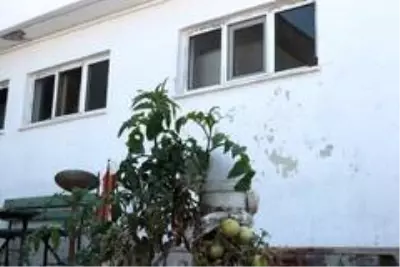 Balıkesir'de topraksız ve susuz, beton üzerinde yetişen fide görenleri şaşırtıyor Balıkesir'de topraksız ve susuz, beton üzerinde yetişen fide görenleri şaşırtıyor