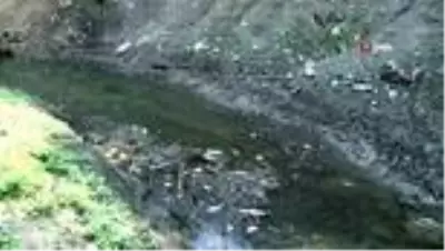 Bursa'da çevre felaketi...Balık ölümleri şok etti Bursa'da çevre felaketi...Balık ölümleri şok etti