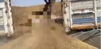 Türkiye Partisi: Ceylanpınar Gümrük Kapısı'nda 37 bin 500 paket kaçak sigara ele geçirildi Türkiye Partisi: Ceylanpınar Gümrük Kapısı'nda 37 bin 500 paket kaçak sigara ele geçirildi