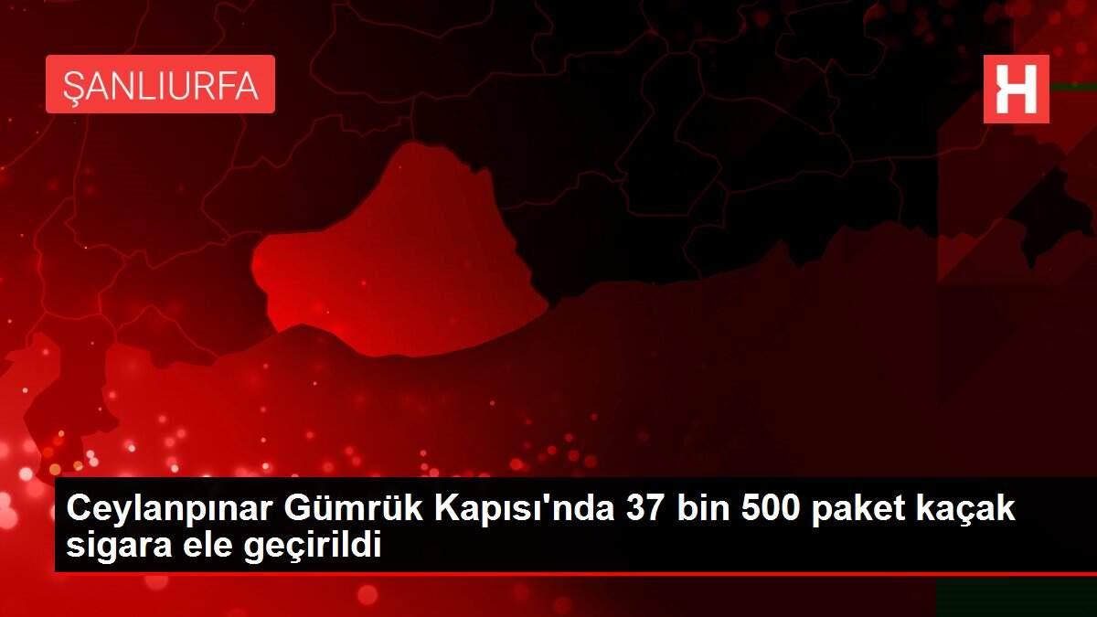 Ceylanpınar Gümrük Kapısı'nda 37 bin 500 paket kaçak sigara ele geçirildi Ceylanpınar Gümrük Kapısı'nda 37 bin 500 paket kaçak sigara ele geçirildi