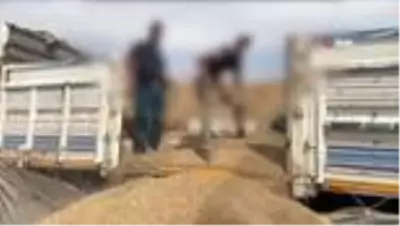 Ceylanpınar Gümrük Kapısı'nda 37 bin 500 paket kaçak sigara ele geçirildi Ceylanpınar Gümrük Kapısı'nda 37 bin 500 paket kaçak sigara ele geçirildi