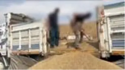 Ceylanpınar Gümrük Kapısı'nda 37 bin 500 paket kaçak sigara ele geçirildi Ceylanpınar Gümrük Kapısı'nda 37 bin 500 paket kaçak sigara ele geçirildi