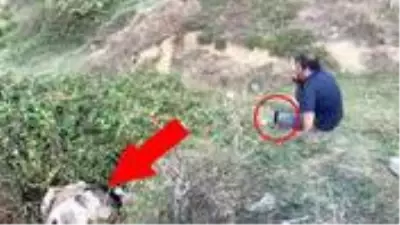 Sahibinin başında bıçakla beklediği ineği sucuk olmaktan itfaiye ekipleri kurtardı Sahibinin başında bıçakla beklediği ineği sucuk olmaktan itfaiye ekipleri kurtardı