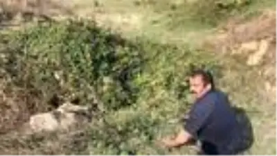 Sahibinin başında bıçakla beklediği ineği sucuk olmaktan itfaiye ekipleri kurtardı Sahibinin başında bıçakla beklediği ineği sucuk olmaktan itfaiye ekipleri kurtardı