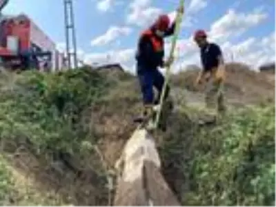 Sahibinin başında bıçakla beklediği ineği sucuk olmaktan itfaiye ekipleri kurtardı Sahibinin başında bıçakla beklediği ineği sucuk olmaktan itfaiye ekipleri kurtardı