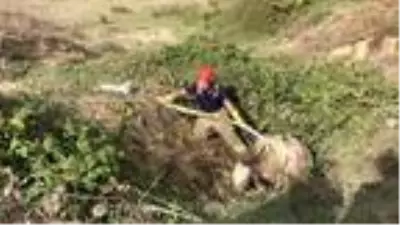 Sahibinin başında bıçakla beklediği ineği sucuk olmaktan itfaiye ekipleri kurtardı Sahibinin başında bıçakla beklediği ineği sucuk olmaktan itfaiye ekipleri kurtardı