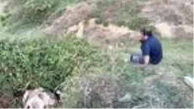 Sahibinin başında bıçakla beklediği ineği sucuk olmaktan itfaiye ekipleri kurtardı Sahibinin başında bıçakla beklediği ineği sucuk olmaktan itfaiye ekipleri kurtardı