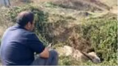 Sahibinin başında bıçakla beklediği ineği sucuk olmaktan itfaiye ekipleri kurtardı Sahibinin başında bıçakla beklediği ineği sucuk olmaktan itfaiye ekipleri kurtardı